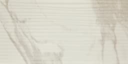 Perpetuo Brilliant White Rectangle 12X24 Matte - bhvgqsgsdl8gms1kiwnm@2x.jpg