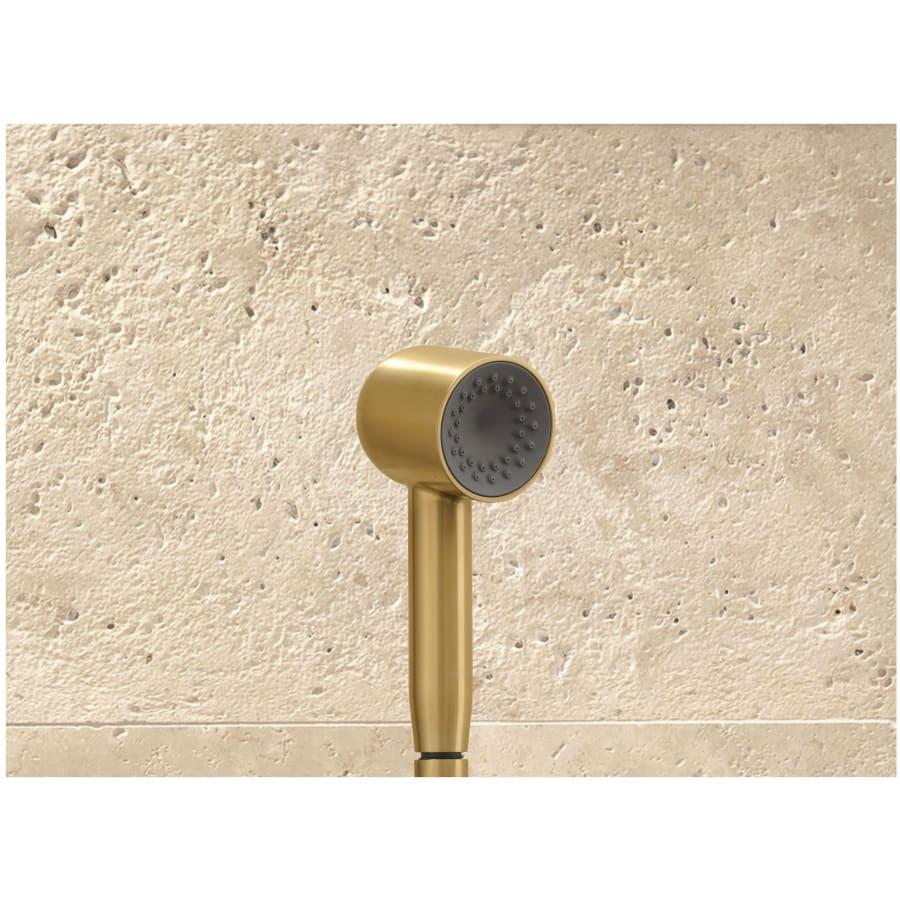 Statement 2.5 GPM Single Function Hand Shower with MasterClean Sprayface - bhxcypqnjfquaexfqi10@2x.jpg