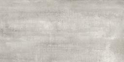 NOLITA GRIS 12X24R - bijdwqpcfwfiy7lhstbe@2x.jpg