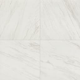 Eclessia Marble Volakas Rectangle 12X24 Polished - bj5rtrptx2lvunojdmzs@2x.jpg