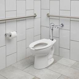Ultima 1.6 GPF Manual Toilet Flushometer for 1-1/2" Top Spud with DynaClean and EvoLast Technologies - bk27qpzg7nesqhmngm0g_x500.jpg