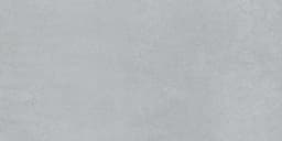 Cohesion Light Grey Rectangle 12X24 Matte - bke3wackwmfefmqejsvr@2x.jpg