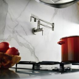5.5 GPM Wall Mounted Double Handle Pot Filler - blhfcqijvyzzfkh1leaj@2x.jpg