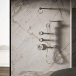 Forte 1.75 GPM Multi-Function Shower Head - bmwbvscluspmagmdzxof@2x.jpg