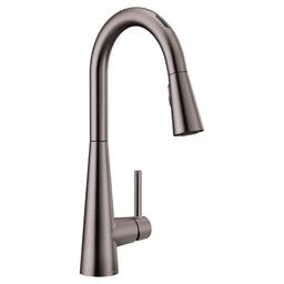 Sleek 1.5 GPM Single Hole Pull Down Kitchen Faucet with Voice Activation - bn5lrkzgicjbge5oc3ld_x500.jpg