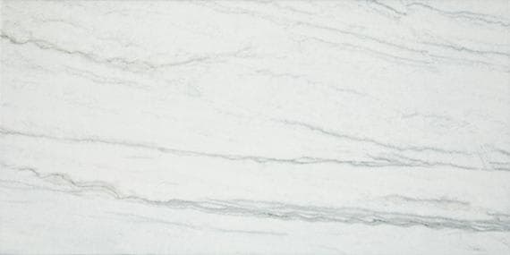 Platinum Oyster Rectangle 12X24 Matte - bnyshyr0jaxzm50nb7am@2x.jpg