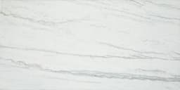 Platinum Oyster Rectangle 12X24 Matte - bnyshyr0jaxzm50nb7am@2x.jpg