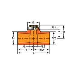 FlameGuard® TorqueSafe™ Head Tee, 3/4 x 1/2 in, Socket x Brass FNPT, CPVC - bo4im43zrtrh9mtslf5b@2x.jpg