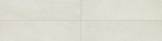 Wanderwise Swan Rectangle 12X24 Matte - boi2cnn4uydgasgjcx8p@2x.jpg