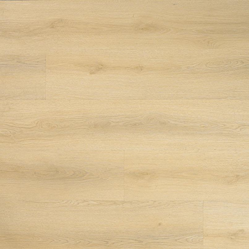 Laurel Tranquilla - brlq18htvrx1cu3coagj@2x.jpg