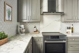 Gray Glossy Fish Scale Mosaic - buglfodt5ian8kjscxyb@2x.jpg