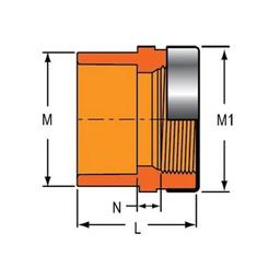 FlameGuard® Adapter, 1 in, Socket x Special Reinforced FNPT, CPVC - buwvcst1srg38uhv5ltt@2x.jpg