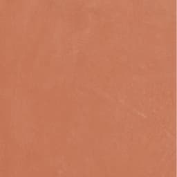 CLAYTONE CORAL MT 24X24 - bvdr9us1gwmc9fainrlh@2x.jpg