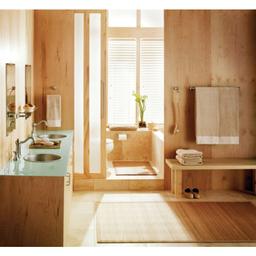 Pivoting Toilet Paper Holder from the Retreat Collection - bvzrattge25r3lib8hxj@2x.jpg