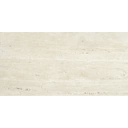 JARGON IVORY HN 12X24 - bw1ocv6jl4yhqpspjptz@2x.jpg