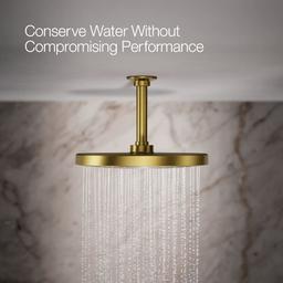 Awaken Round 10" Single Function 1.75 GPM Rainhead with MasterClean Sprayface - bxzqjgumloizvzgg7zf1@2x.jpg