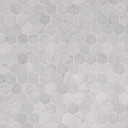 Carrara White Polished 2" Hexagon Mosaic Tile - bzmhoztqj1mtgfjtxhlu@2x.jpg
