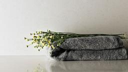 Organic White - c300sjta2fmktopazgf3@2x.jpg