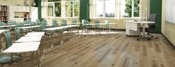Chestnut Oak - caebm94ftr9o3c2hvxsg@2x.jpg