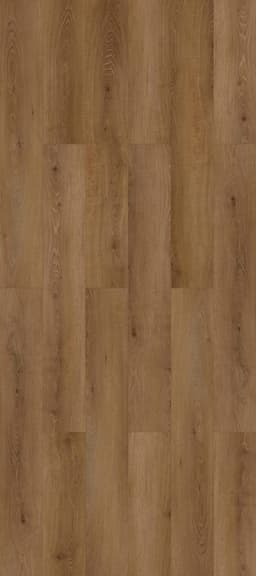 Nolita - caoalerr5w30tj42ivr9@2x.jpg