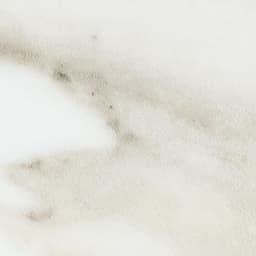 Platinum Magnolia Rectangle 12X24 Matte - ccoawjvpry0gj6lgyimy@2x.jpg