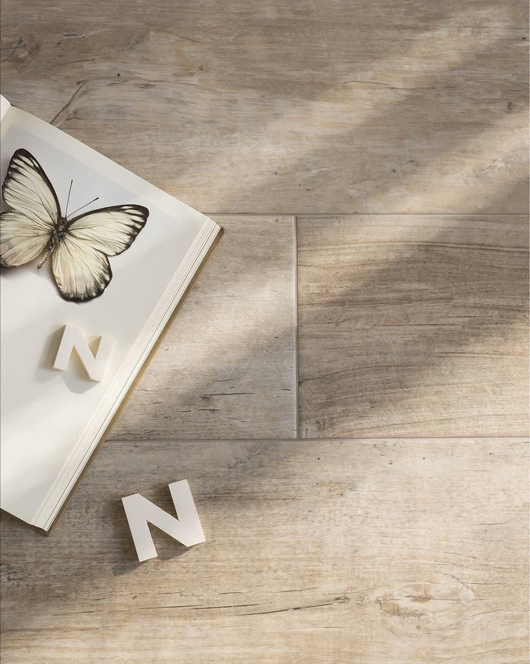 Timber Noce - cdbjlbdcyeshu3jyxgg4@2x.jpg
