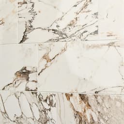 Panoramic Duet Calacatta Aries Square 48X48 Matte - cdfmnz7onvlzq5x311lx@2x.jpg