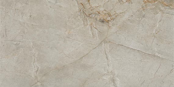 Platinum Quill Rectangle 12X24 Matte