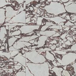 Exotika Violetta - cg2vizkk7jrssuxngj99@2x.jpg