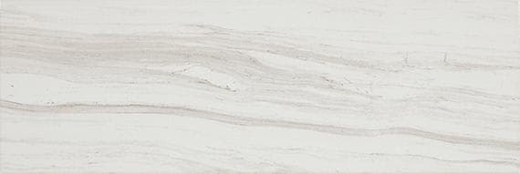 Platinum Calacatta Sky Rectangle 12X24 Matte - ciywklyl1yacoqg1je6y@2x.jpg