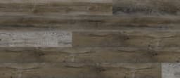 Tiger Beige - cjvdcn439oegesxt5gmp@2x.jpg