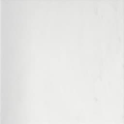 MARBLE THASSOS WHITE 12X12 - cklp68nybtty88yadcm0@2x.jpg