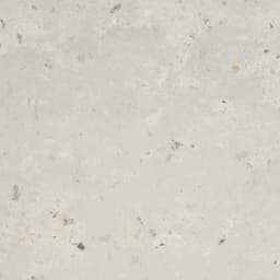 ANVAYA ASTER MT 12X12 - ckmwc0yf0u0hsfsybdx9@2x.jpg
