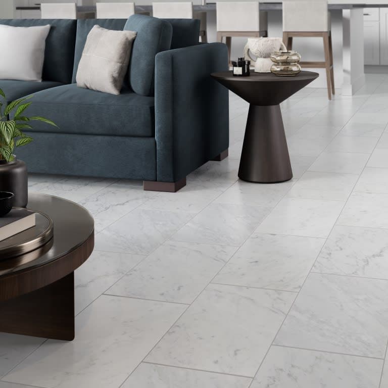MARBLE BIANCO GIOIA HN 12X24 - ckt55yg7vudlfh4bf9l6@2x.jpg