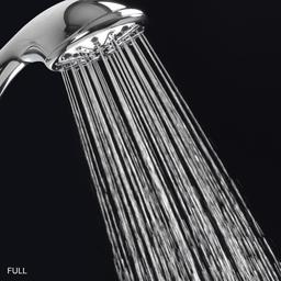1-Spray Wall Mount Handheld Shower Head 1.8 GPM in Chrome - cm9rjlbbtgixsjytrsis@2x.jpg