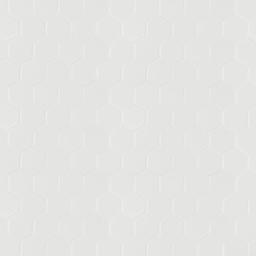 White Matte 2” Hexagon Mosaic Tile - cnnx2jbm0ejoaq0zyynb@2x.jpg