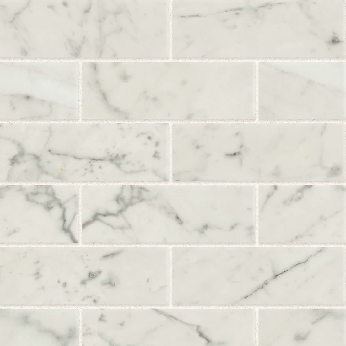 Classic 2.0 2" x 6" Floor and Wall Mosaic in Bianco Carrara