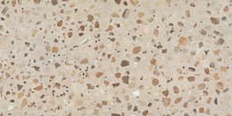 Curation Stucco Hexagon 3X3 Polished - coayjhu9k4qiktdwxg9f@2x.jpg