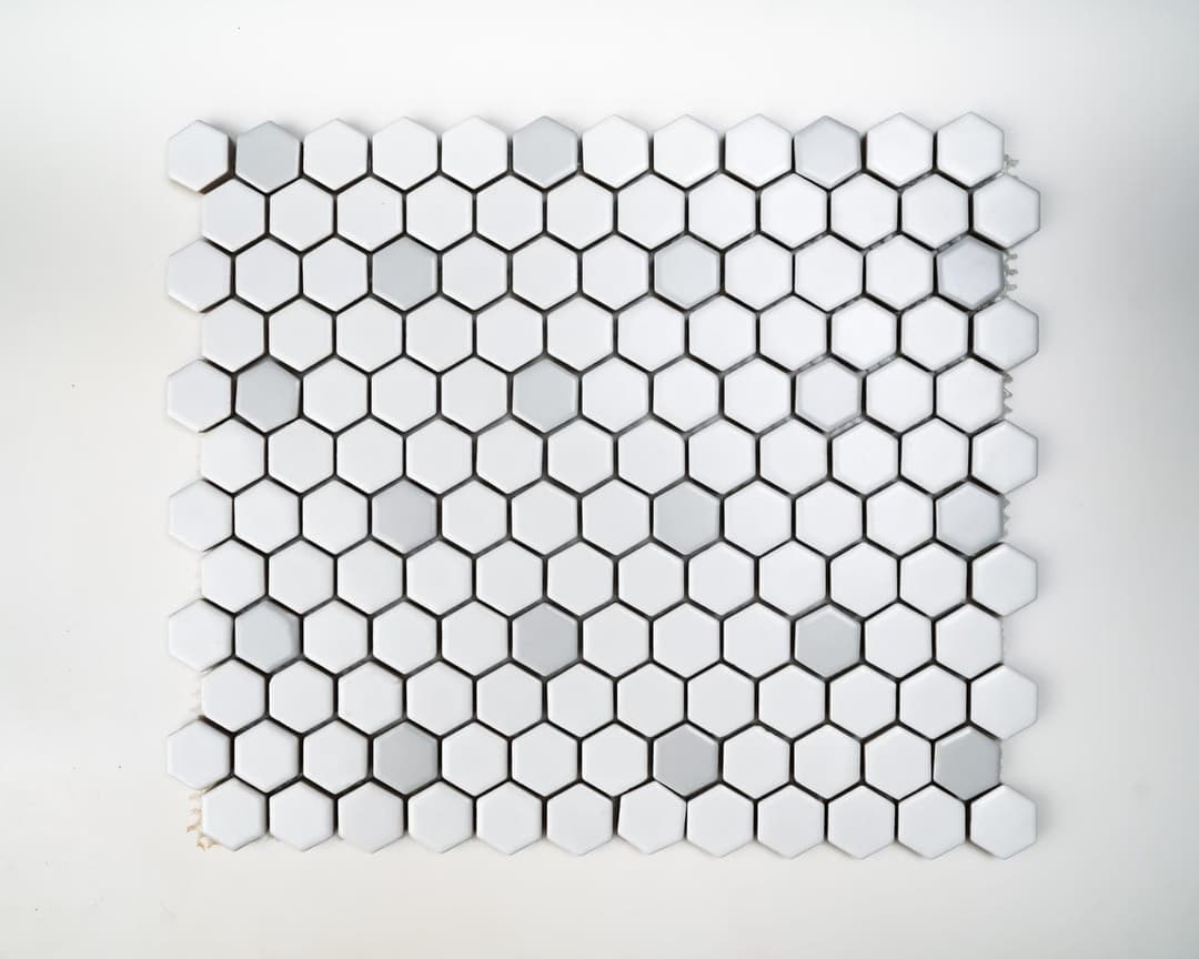 1x1 White and Grey Hexagon - com7myl8mzjpabbwzeef@2x.jpg