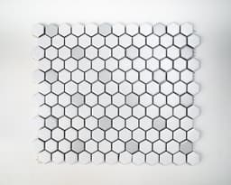 1x1 White and Grey Hexagon - com7myl8mzjpabbwzeef@2x.jpg