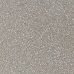 Neospeck Light Gray Square 24X24 Polished - cq5dam.web.570.570@2x.jpg