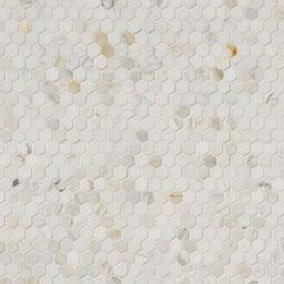 Calacatta Gold 1” Hexagon Mosaic Tile - csnvmccktnkpadsefk89@2x.jpg