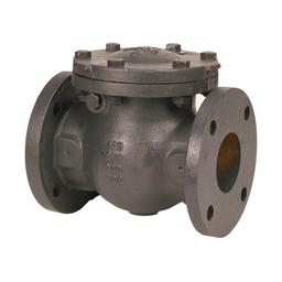 Swing Check Valve, 2-1/2 in, Flange, Cast Iron - csojnadat7mrvcwpjhh6@2x.jpg