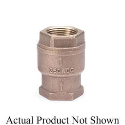 Spring Check Valve, 2 in, FNPT, Bronze - ctnyetfbgocf5yeykwbg@2x.jpg