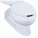 Barrington Elongated Toilet Bowl Only - Less Seat - cu0m6ao4y7repe9rpusn@2x.jpg
