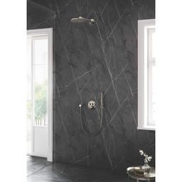 Relexa Shower Outlet Elbow, 1/2 in, FNPT, Brass, Brushed Nickel - cuatrfrxv1kxsvajjpkd@2x.jpg
