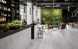 Opera Grey - cutjlo77aanpcrcc5muu_x500.jpg