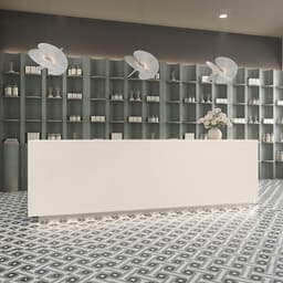 Carrara Roma - cvrwgg3vm4oz02kes51i@2x.jpg