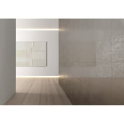 MIMICA SILVER LP 12X24 - cvtl9tflcxr8bctoboff@2x.jpg
