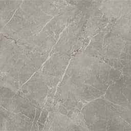 Platinum Dove Rectangle 12X24 Matte - cwch71xwnd5v3chj9g32@2x.jpg